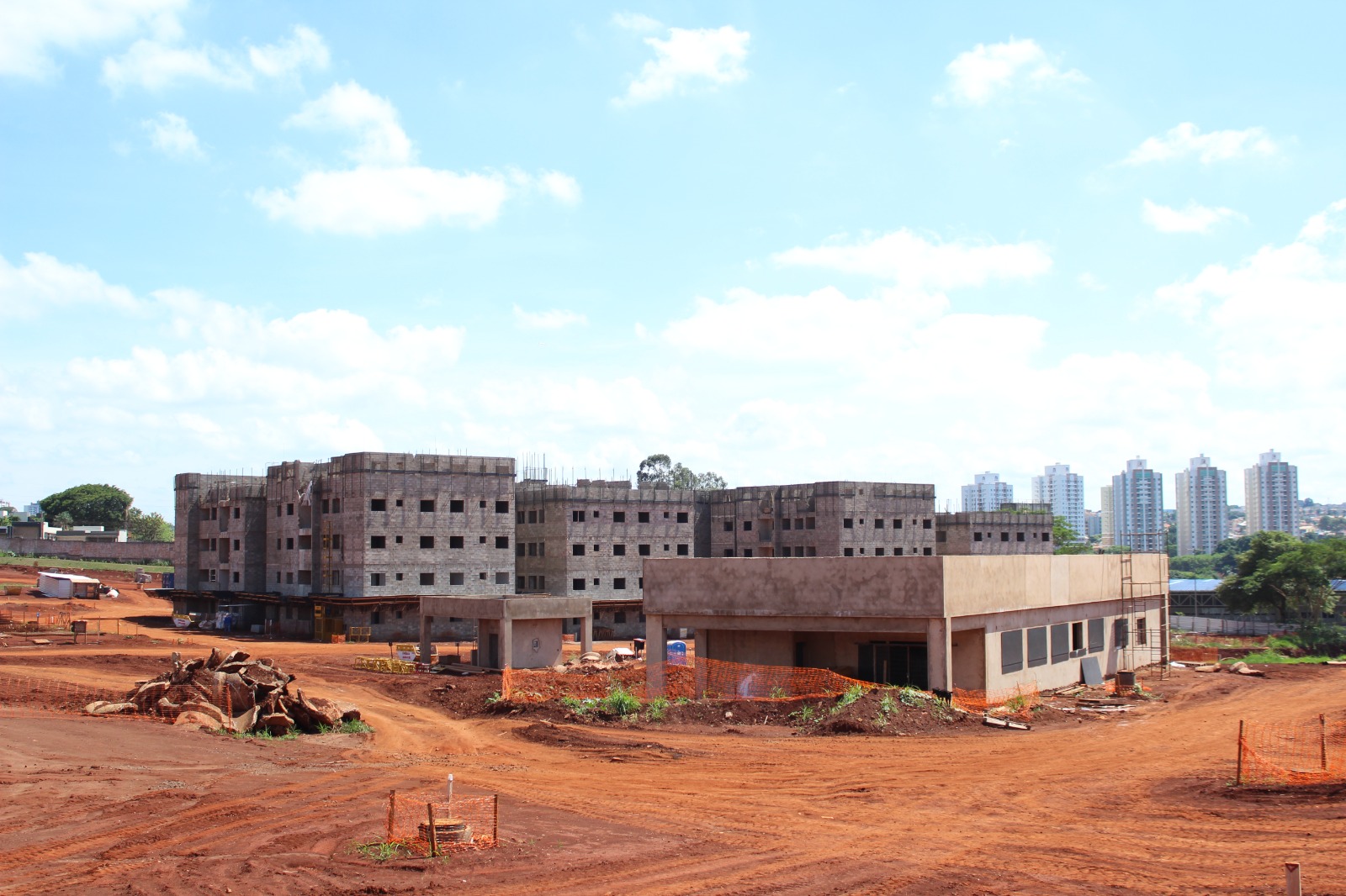 obra_belasartes02