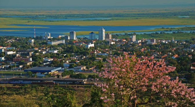 55