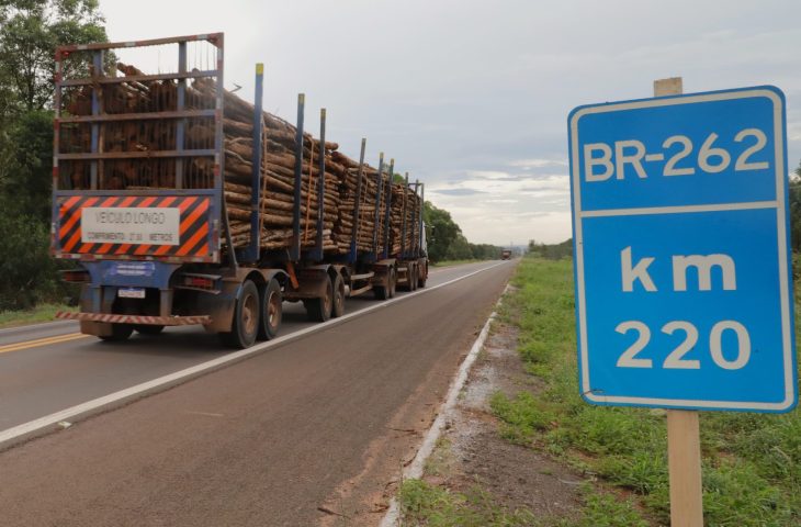 BR-262-Foto-Saul-Schramm-17-scaled-e1736522774527-730×480
