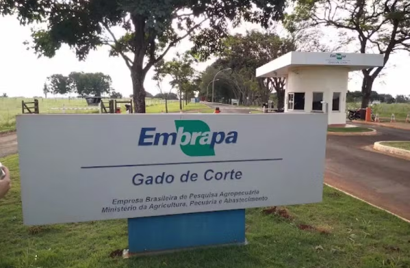 Captura de tela 2025-01-06 151150