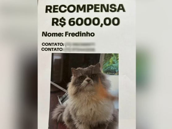 Captura de tela 2025-02-16 150907