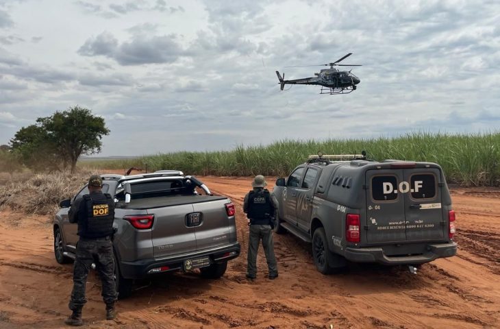 Apreensoes-Drogas-Foto-Arquivo-Sejusp-3-e1744127713931-730×480