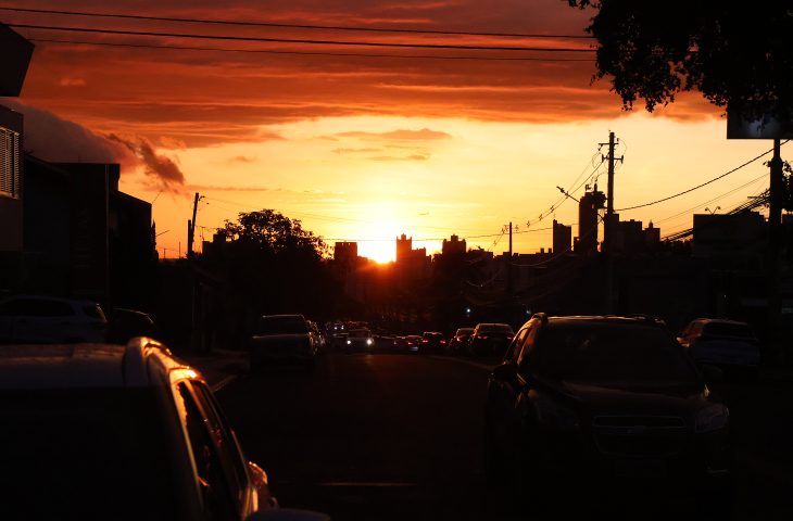 IMG_3716-730×480