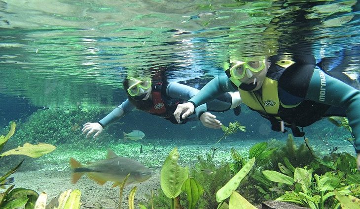 Rio-Sucuri-Bonito-VisitMS-730×425-1