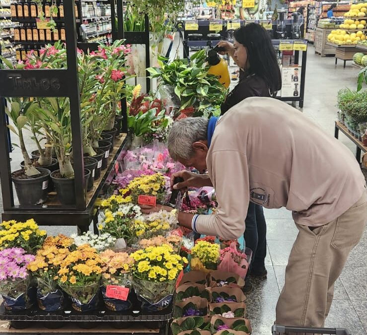 Campanha Anti-Mosquito, parceria entre Prefeitura e Grupo Pereira, completa 17 anos 