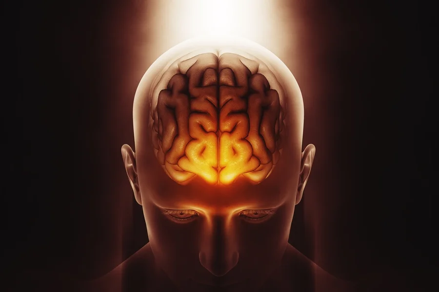 pi7_tool_crebro-capa