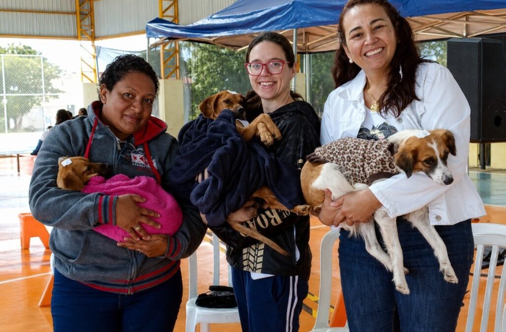 ALEMS aprova reconhecimento de associação de proteção animal de Jardim