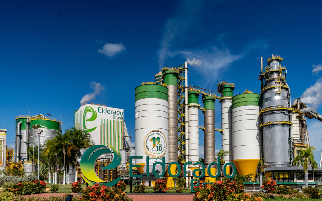 Programa Super Talentos PcD amplia oportunidades na Eldorado Brasil