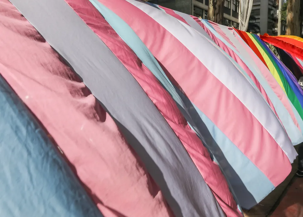 bandeira-trans-celso-tavares-g1-3-de-22-