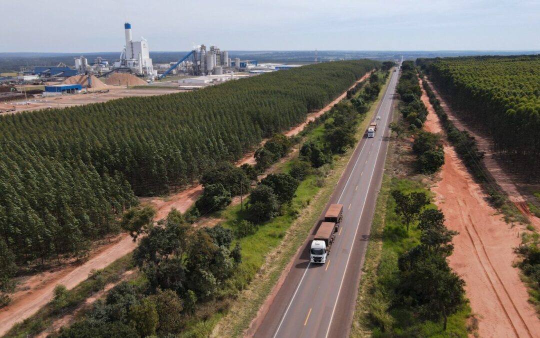 Rota da Celulose: concessionária presta contas e AGEMS acompanha avanços iniciais nas obras em Mato Grosso do Sul