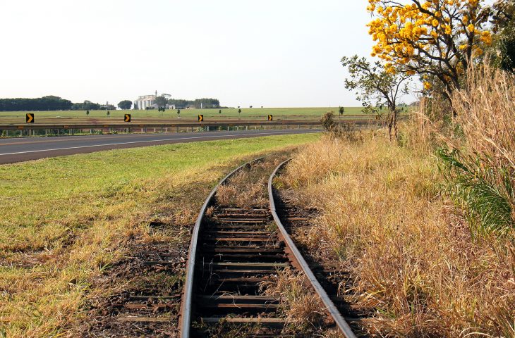 Trilho-Chico-Ribeiro-2-730×480-1
